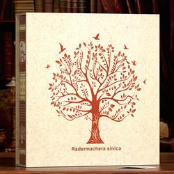 6inch Photo Albums, Commemorative Albums, Large-Capacity Family Photo Albums, Couple and Baby Growth Record Albums, 5-Inch, 1000 Photos, Laminated