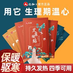 Renhe Self-Heating Moxa Warm Patch for Babies, Menstrual Pain Relief, Self-Heating Herbal Warm Compress for Women, Warm Patch for Cold Relief, Motherwort Warm Patch