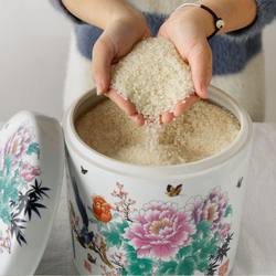 Jingdezhen Ceramic Rice Container with Lid for Home Use, 5/ 5kg Liter Rice Storage Bucket, Sealed Rice Storage Box, Rice Storage Jar, Flour Container, Insect-Proof