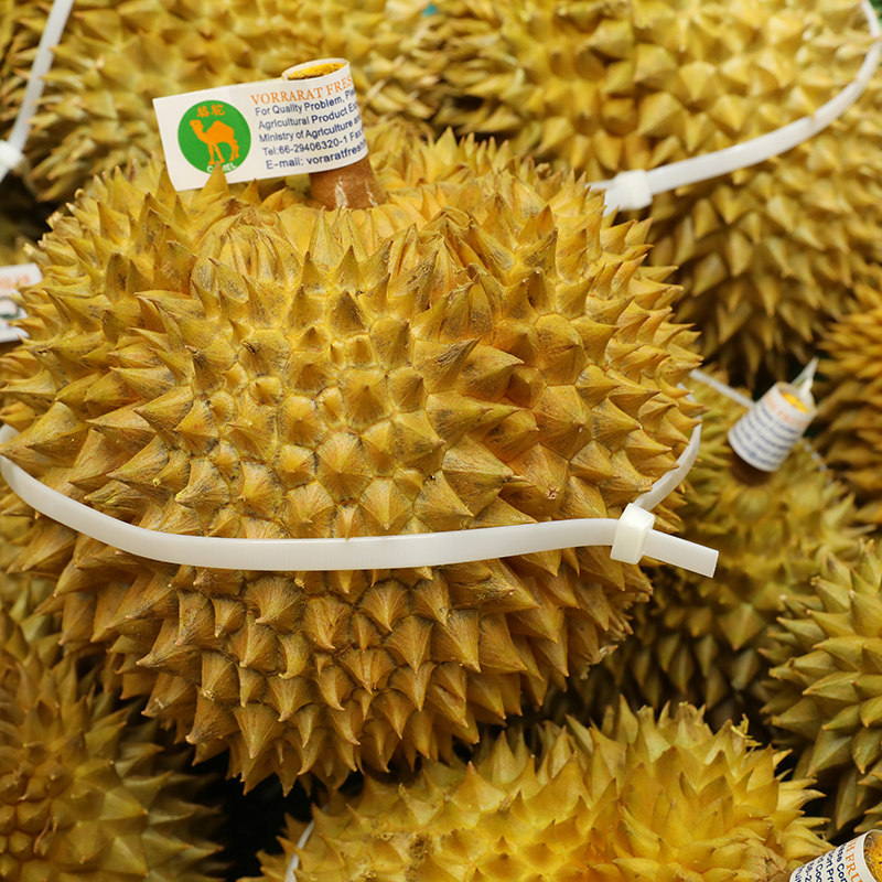 150 Fibbie Per Fascette In Nylon Universali Con Cerniera - Foto 6