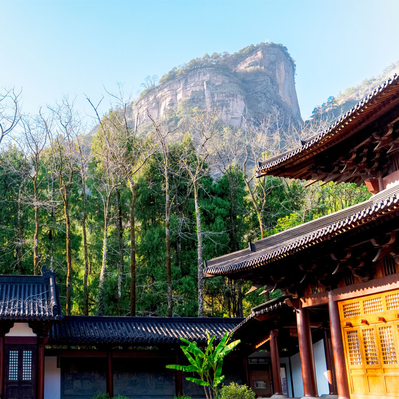 【高餐标+5钻酒店】武夷山纯玩3日2晚游 往返接送 轻松休闲游