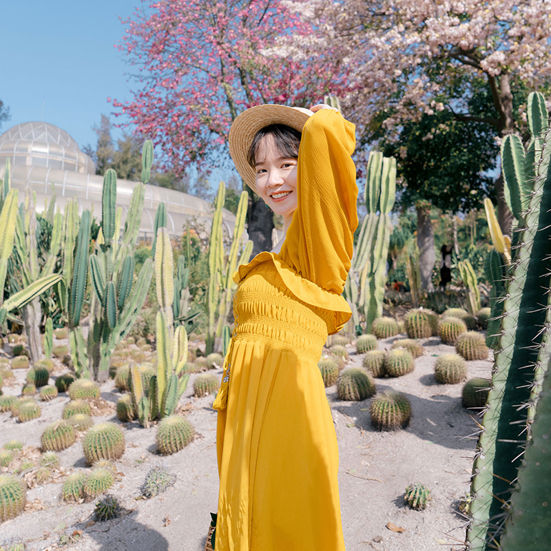 一晚住鼓浪屿,一岛倾城 厦门+鼓浪屿5天4晚跟团游(4钻)