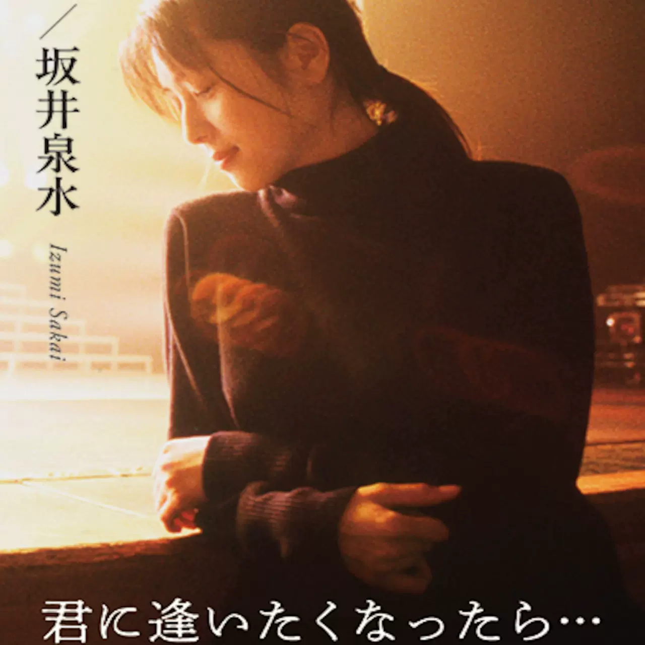 ZARD坂井泉水Premium BOX 1991-2008 Single Collection全新/中古