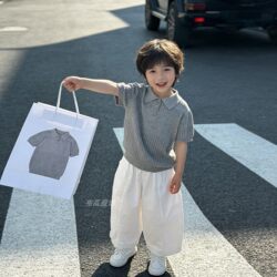 Boys' Ice Silk Hollow-Out Short-Sleeve Polo Shirt 2026 Summer Collection for Older Children, Stylish Thin Knit T-Shirt for Boys