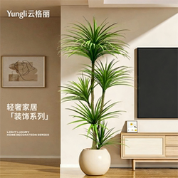 High-End Luxury Artificial Green Plant, Dragon Blood Tree, Large Indoor Living Room Faux Plant, Fake Potted Plant, Floor-Standing Decorative Piece