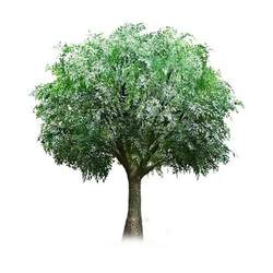 Manufacturers supply advanced artificial plants green plants simulated banyan tree hotel exhibition decoration landscaping decoration fake trees