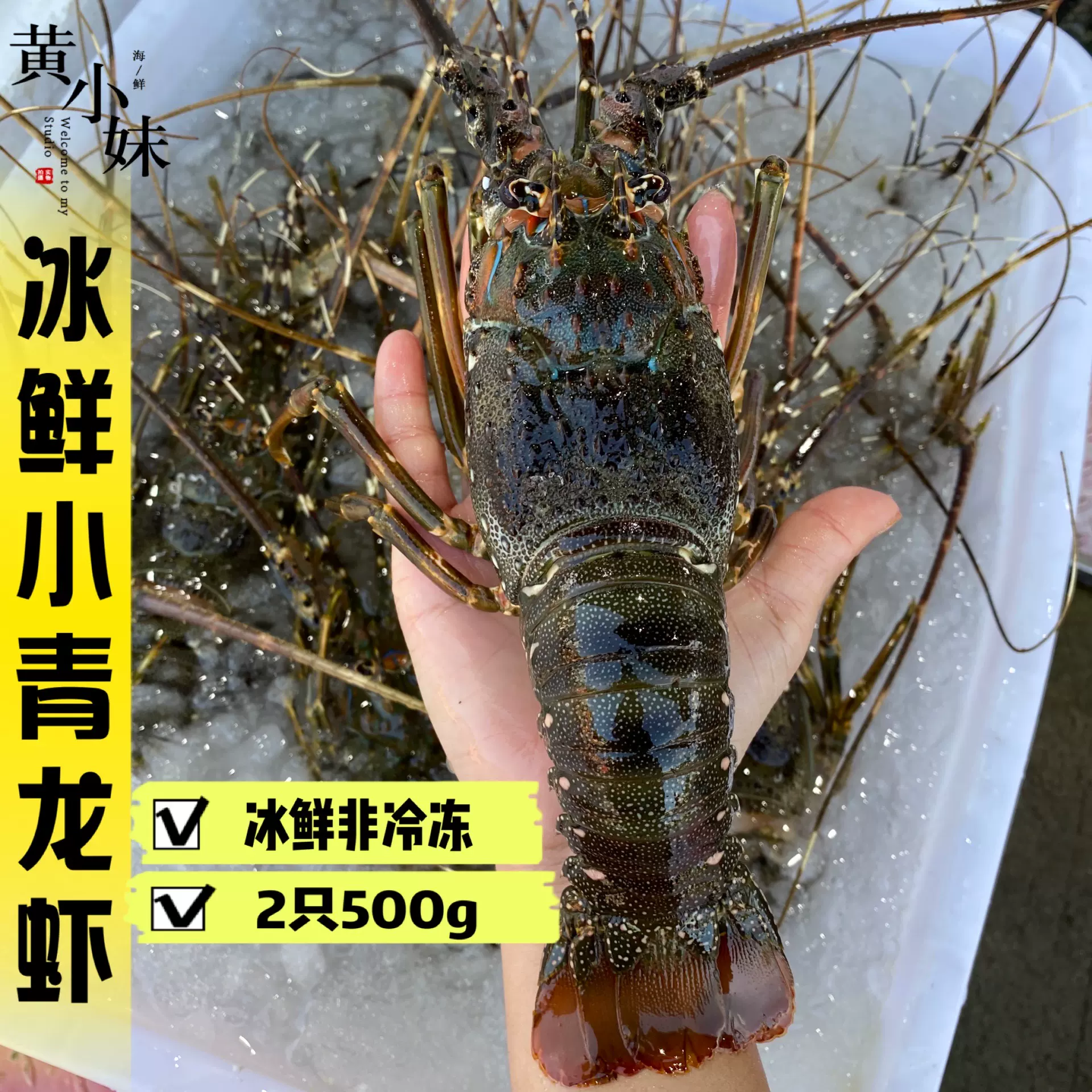 急凍小青龍蝦印尼進口野生海捕大青龍蝦西非青龍非