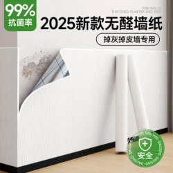 Wall Covering Maternal and Infant Grade Wallpaper Self-Adhesive Waterproof and Moisture-Proof Wall Stickers for Gray Walls Special Bedroom Wall Covering Ugly Wall Stickers