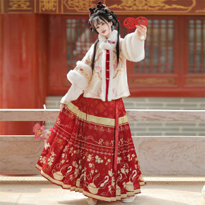 
Jade Orchid_Yuanchun Original Ming Dynasty Hanfu Women's 2025 New Winter Velvet Thickened Half-Sleeve Horse Face Skirt Ancient Costume