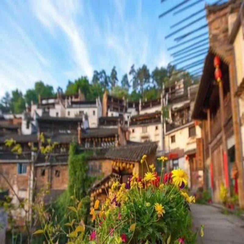 纯玩--黄山旅游宏村故里醉美婺源篁岭新安江山水画廊4天3晚跟团游