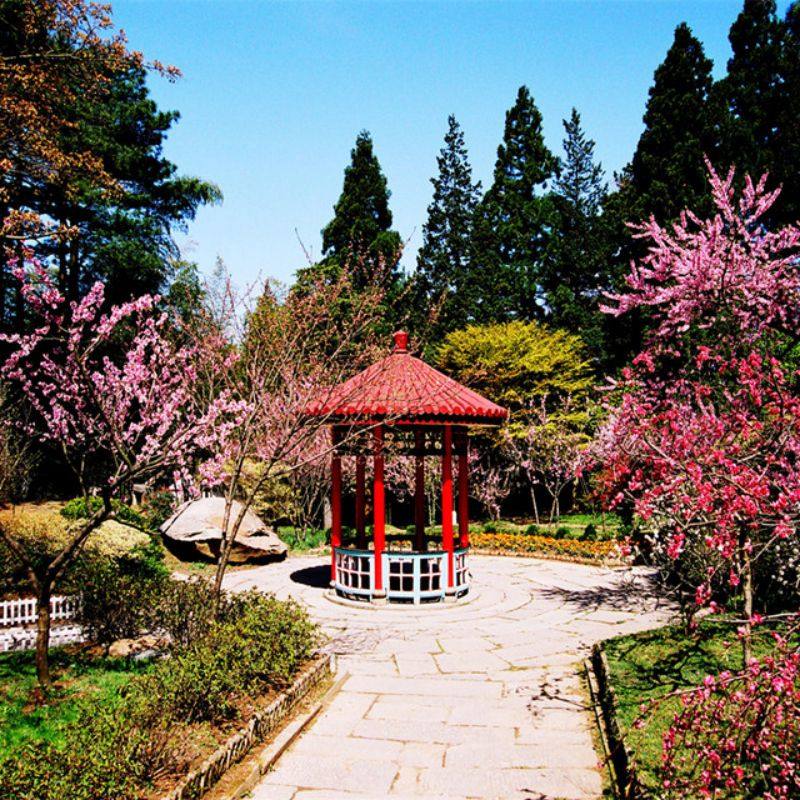 江西旅游庐山三叠泉美庐山庄石门涧锦绣谷花径含鄱口2天1晚跟团游