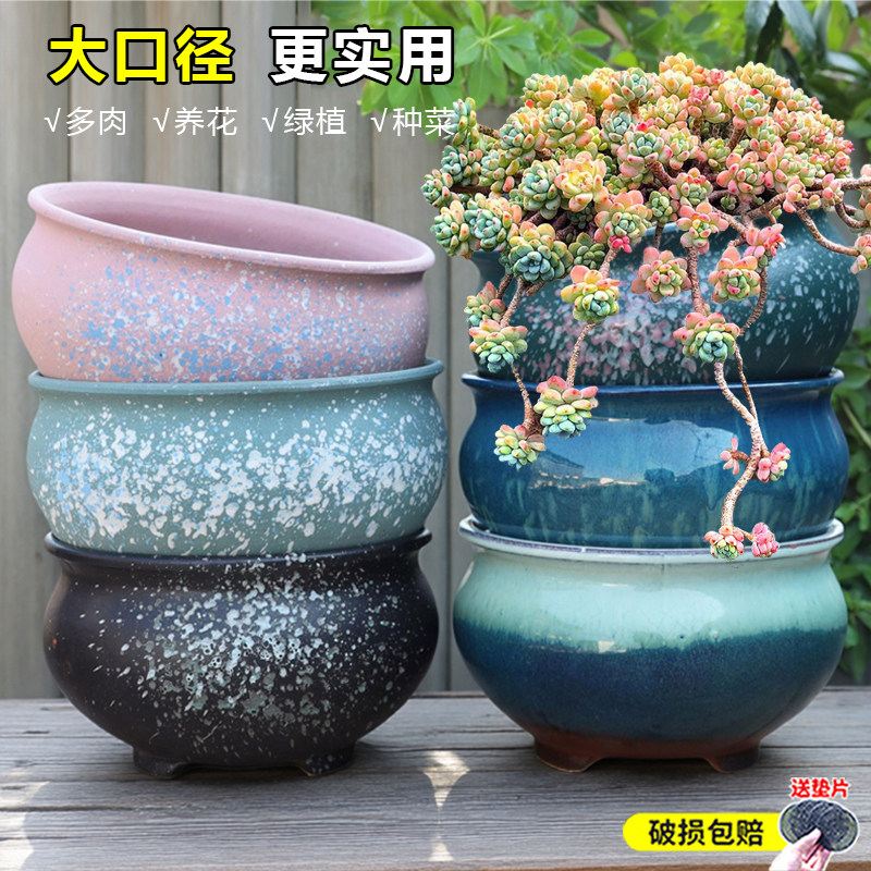 蓝雪花垂挂盆栽-淘宝逛一逛