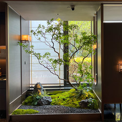 Simulated Horsewood Window Display Plants, Indoor High-End Bionic Green Plants, Decorative Trees, Large Artificial Trees, Simple Landscape