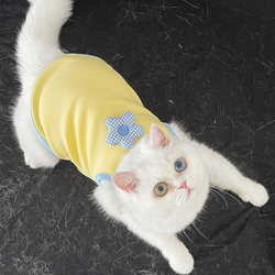 Cat and Dog Clothes for Spring and Summer, Pet Clothing for British Shorthair Blue Cats, Anti-Shedding, Breathable, Sun-Protective, with Leash Attachment, Teddy Bichon Vest