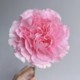 Yunshe Town Store Treasure, Pink Diamond Single-Head Carnation, Any combination of 2 or more cold chains
