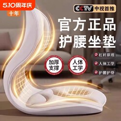 Ergonomic Waist-Protecting Cushion, Posture-Correcting Chair Cushion, Office Lumbar Backrest, 2026 New Posture-Correcting Cushion