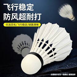 Authentic Badminton Goose Feather Shuttlecock, Durable for Indoor Training, 6/12 Wind-Resistant, Non-Fluorescent, Nylon, Stable for Competition