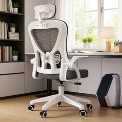 Computer Chair, Comfortable Ergonomic Office Chair for Long Sitting, Swivel Chair with Universal Wheels, Adjustable Steel Frame for Home Use