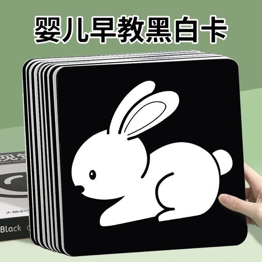 Paishien 白黒フラッシュカード - 新生児用視覚刺激おもちゃ
