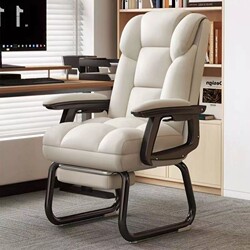 Computer Chair, Home Chair, Reclining Chair, Sofa Chair, Comfortable Chair for Long Sitting, Gaming Chair, Office Chair, Executive Chair