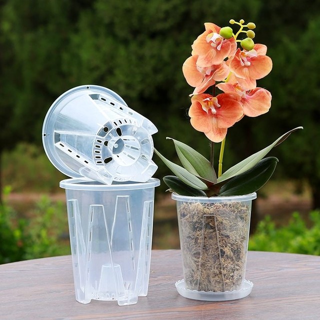 Transparent Qingshan root control pot flower pot orchid sphagnum moss ...