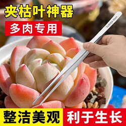 Succulent stainless steel extended toothed large tweezers fish tank aquatic plants insects succulent gardening clip tweezers tool