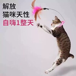 Head-Mounted Cat Teaser Toy, a Self-Entertainment Device for Cats, Automatic Feather Collar, Cat Teasing Supplies to Expend Energy