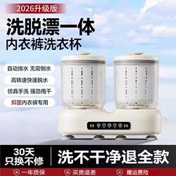Double-Cup Washing and Drying Integrated Underwear Washing Machine, Mini Underwear and Sock Washing Machine, Fully Automatic Small Cleaning Device
