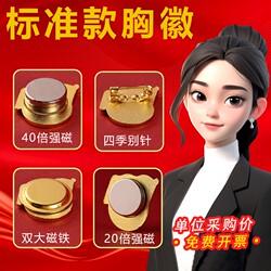 High-End Magnetic Party Badge Pins for Meetings, with Butterfly Clasp and Strong Magnets, Suitable for Winter Use, Supports Invoicing