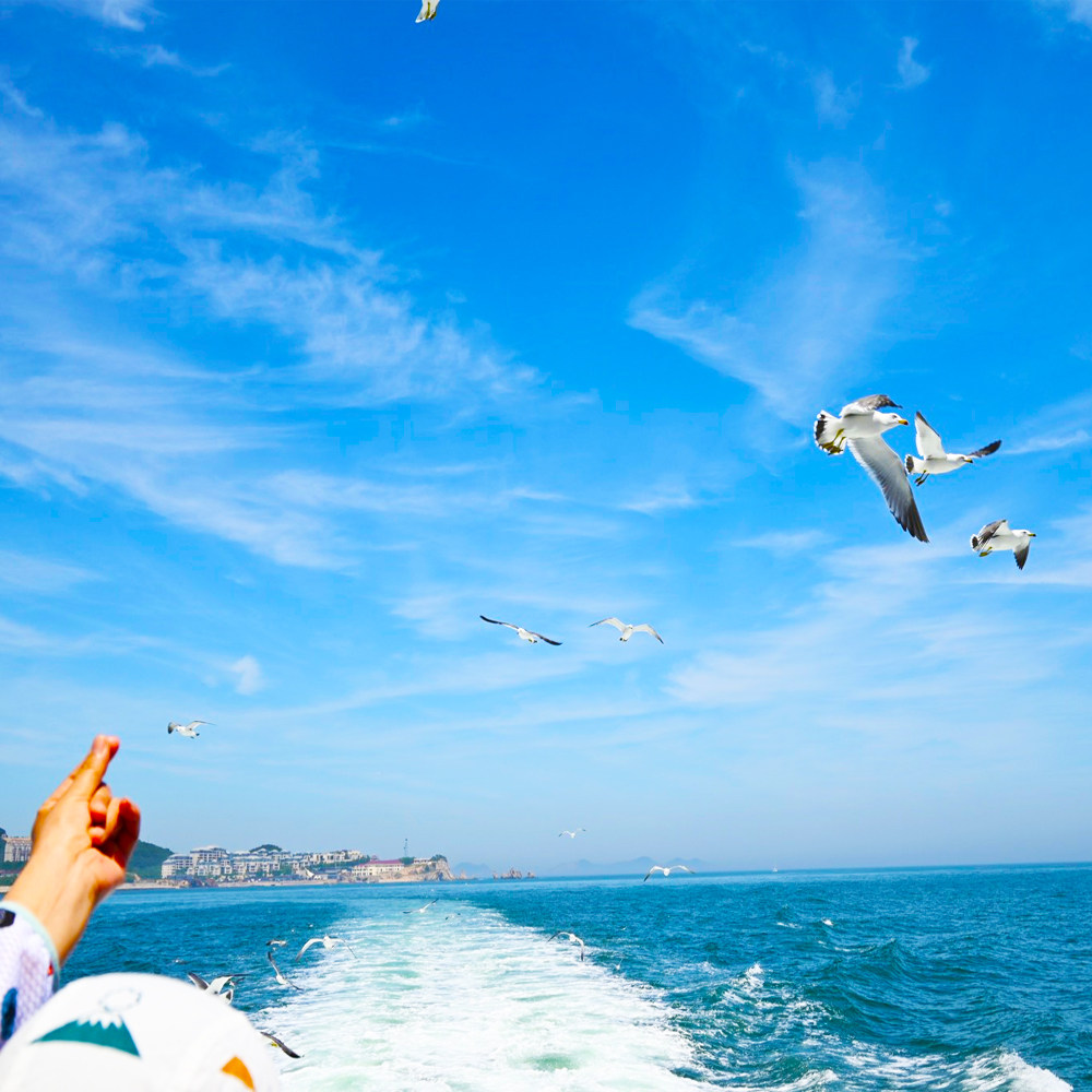 十一不涨价【2大2小私家团纯玩】大连环海游+帆船+老虎滩4天3晚游