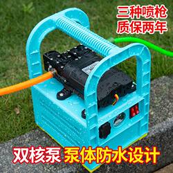 German Imported Portable Electric Sprayer, Agricultural Multi-Function Sprayer, Vegetable Watering, Car Washing, Disinfection, High-Pressure Water Pumping