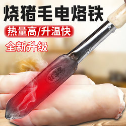 Electric Hair Removal Tool for Pig Skin, Small Household High-Power Hair Removal Device, Pig Hoof Ironing Tool