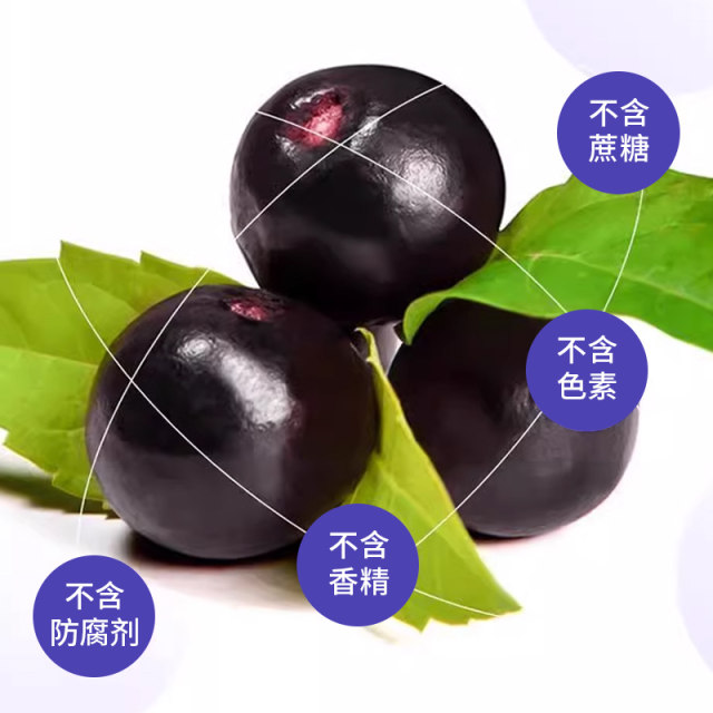 Pure Brazilian Berry powder Natural anthocyanin without adding fruits ...