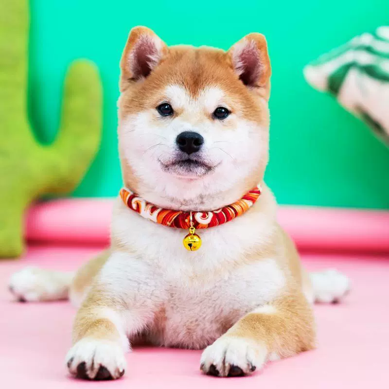 日本和風項圈鈴鐺項圈狗項圈柴犬泰迪中小型犬寵物貓咪狗