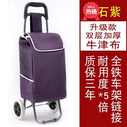 Portable Market Cart, Hand-Pulled Shopping Cart, Small Hand-Pulled Cart, Vegetable Cart with Wheels, Small Push Cart with Capacity for Two People, Small Pull Cart for Home Use