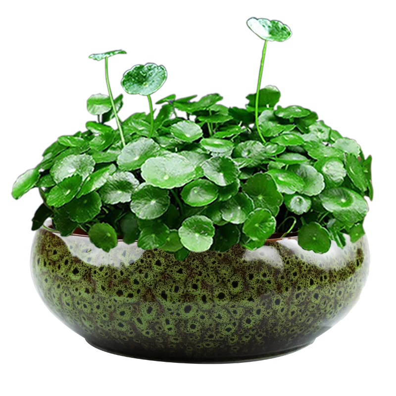 水石 盆栽 小物 水蓮 花銀製 葉銅製｜キッチン・食器 