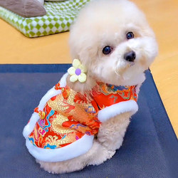 Dog Clothes for Autumn and Winter, Festive Dragon Costume, Can Be Used with a Leash, Suitable for Teddy, Bichon, Pomeranian, Small Dogs, Puppies, Winter Warm Cotton Coat
