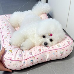 Dog Bed for All Seasons, Dog Sleeping Mat for Small and Medium-Sized Dogs, Teddy, Bichon Dog Bed, Pet Cat Bed, Cat Soft Cushion
