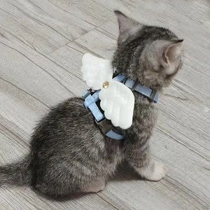 
Cat leash with cute small wings and cat leash for outdoor use for anti-breaking pet dog small dog walking leash