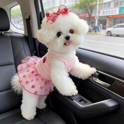 Dog Clothes Summer Thin Breathable Mesh Princess Dress Anti-Shedding for Bichon Frise Pomeranian Small Dogs Dress