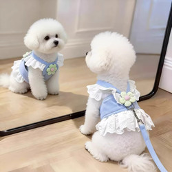 Dog Leash, Small Dog Sweet Lace Trim Harness Dress, Special Clothing for Puppies to Go Out, Thin Style for Spring and Summer