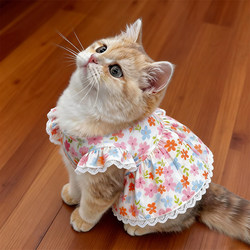Cat Clothes Spring and Summer Thin Princess-Style Floral Dress Gold Gradient Ragdoll Pet Small Dog Anti-Shedding