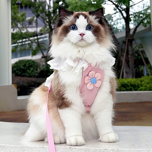 
Cat traction rope for kitten to go out for anti-breaking chest strap adjustable cat walking rope for kitten small dog