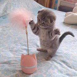 Cat Toy Teaser Wand with Feathers and Bell, Wobbling Toy for Kittens to Entertain Themselves, Teething Toy for Kittens, Scratch-Resistant and Bite-Resistant