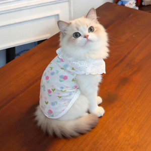 
Cat clothes spring and summer thin pure cotton small floral breathable vest gold gradient cloth doll pet dog anti-shedding
