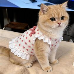 Cat Clothes Summer Thin Breathable Sling Anti-Shedding Ragdoll British Shorthair Golden Tabby Kitten Pet Dog Dress