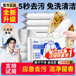 Down Jacket Cleaning Wipes, No-Wash, Powerful Stain Removal, Clothing Cleaning Wipes, Portable, Household Dry Cleaning, Special for Stains