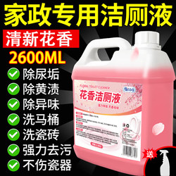 Toilet Cleaner Powerful Descaling and Deodorizing Liquid, Fresh-Scented, for Cleaning Toilets and Removing Stains, Strong Stain Remover, Removes Yellow Stains