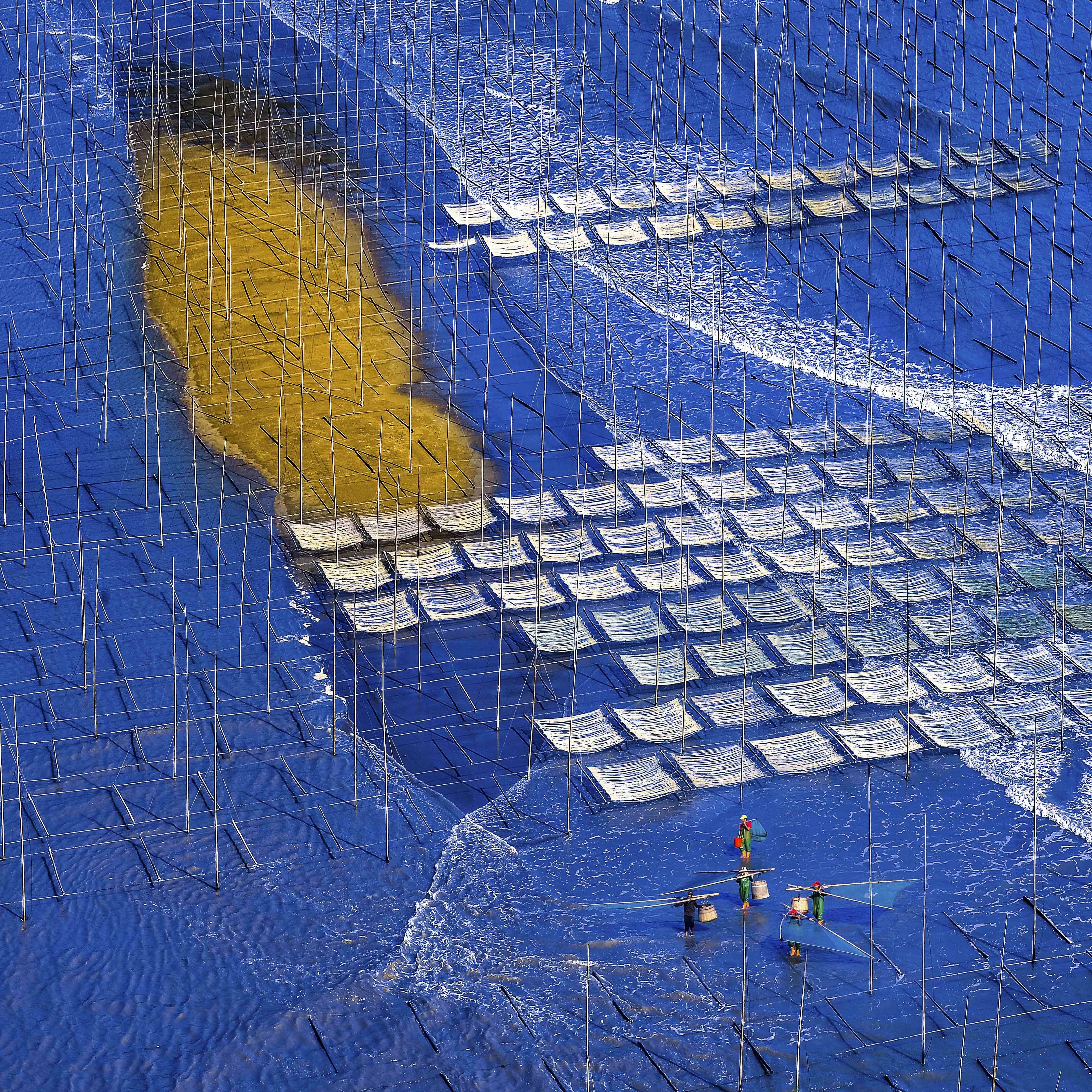 【豪华酒店小众4人成团】行摄霞浦滩涂5天4晚摄影团