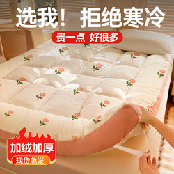 Milk Velvet Mattress Pad Cushion for Home Use in Winter, Fleece-Lined Pad for Rental Apartments, Thickened and Warm Mattress Pad